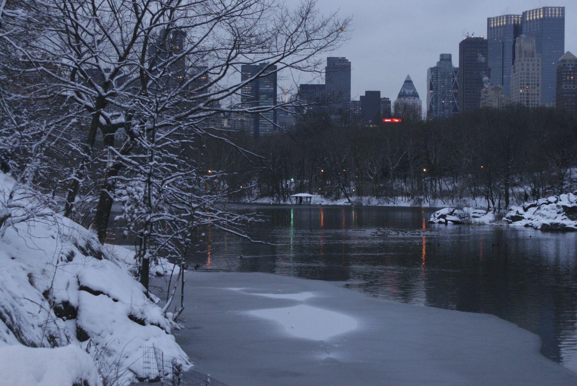 1936x1296 Central Park. New York. ultra mob. Alejandro Mercer picture