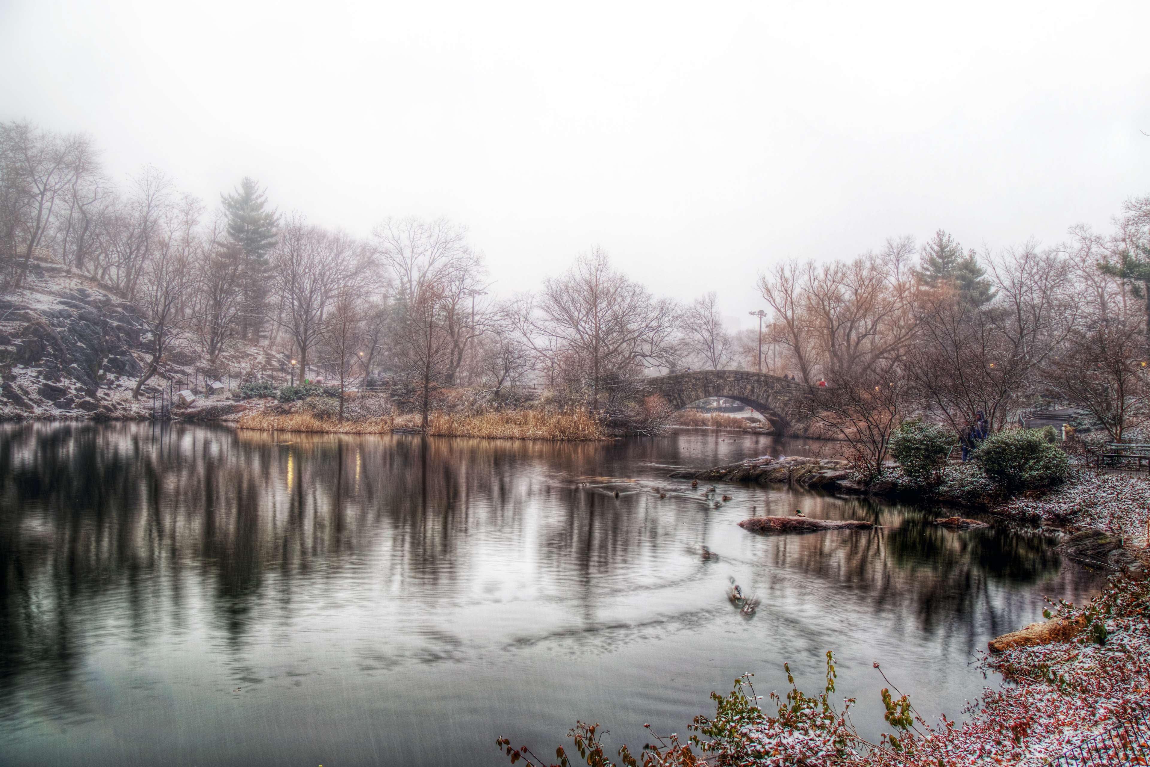 3840x2560 bridge, central park, ducks, fog, lake, mist, new york, park, snow