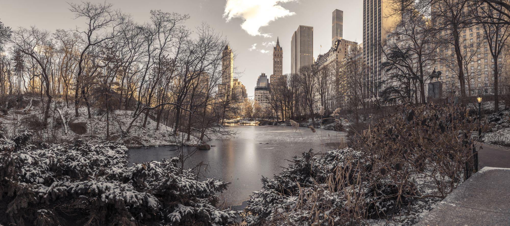 2000x885 Winter Dawn in Central Park Wall Mural