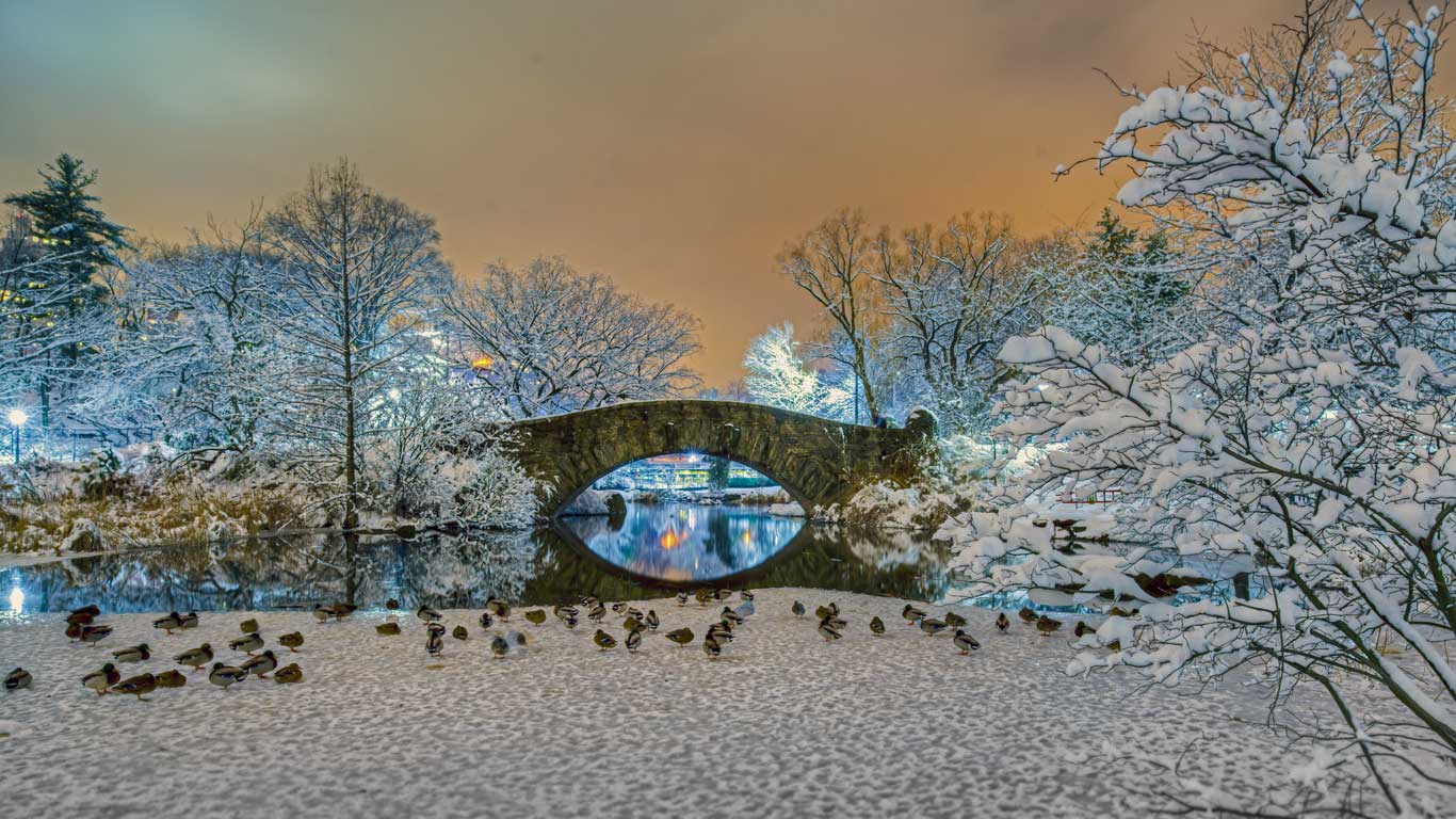 1366x768 Explore Gapstow Bridge in Central Park with Your Bike Rental