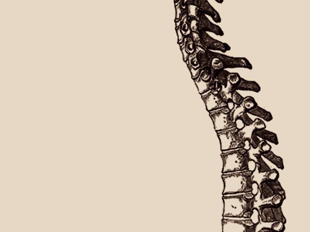 Spinal Cord Wallpapers - Top Free Spinal Cord Backgrounds - WallpaperAccess