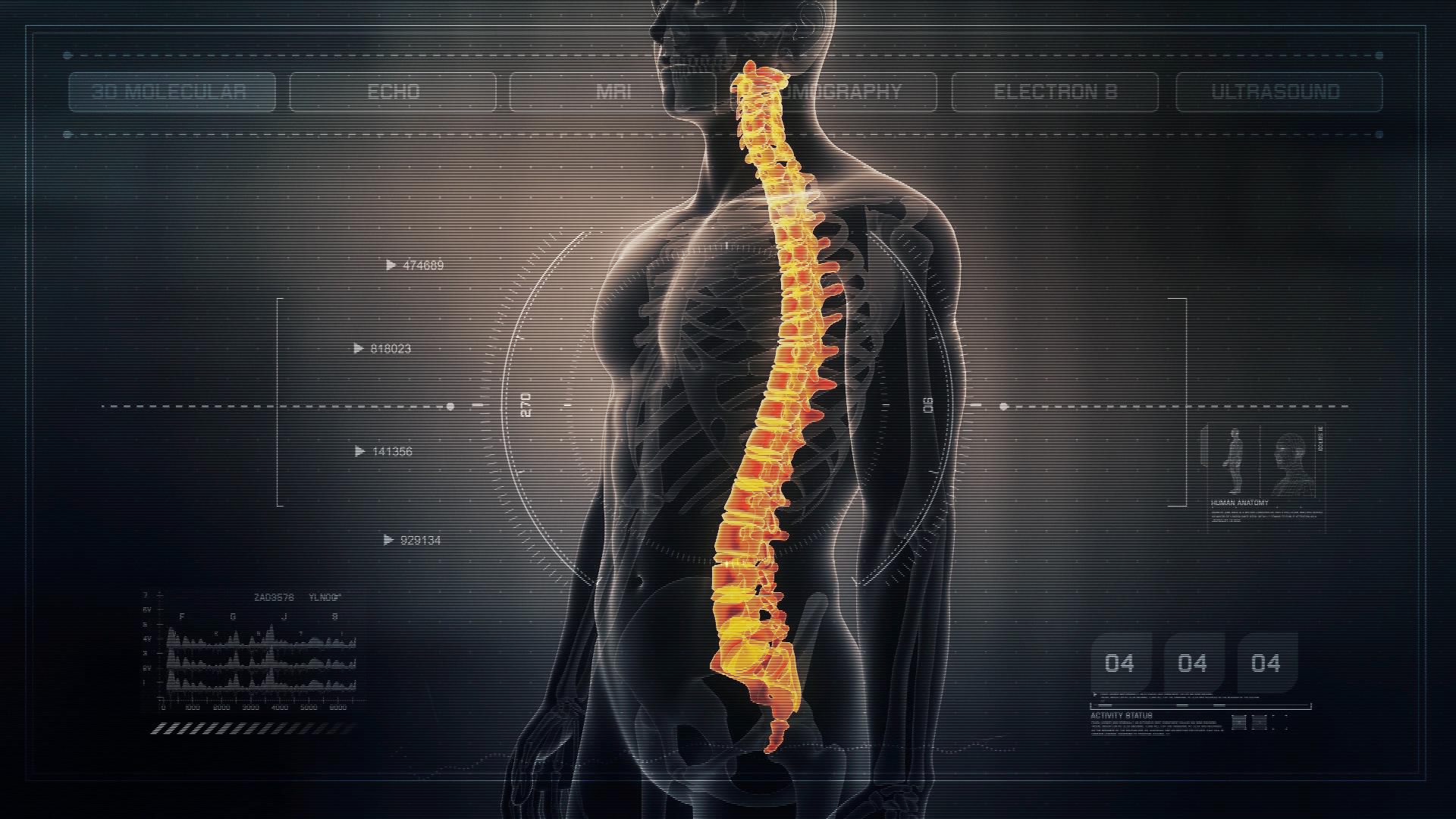 Spinal Cord Wallpapers - Top Free Spinal Cord Backgrounds - WallpaperAccess