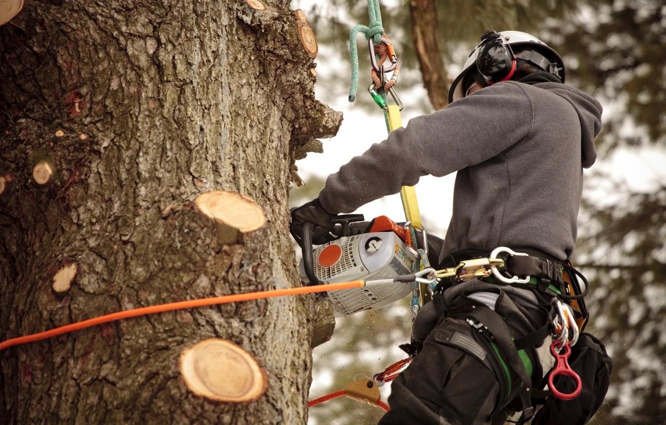 1332x850 Wallpaper ropes, chainsaw, worker, safety measures, work at height image for desktop, section мужчины
