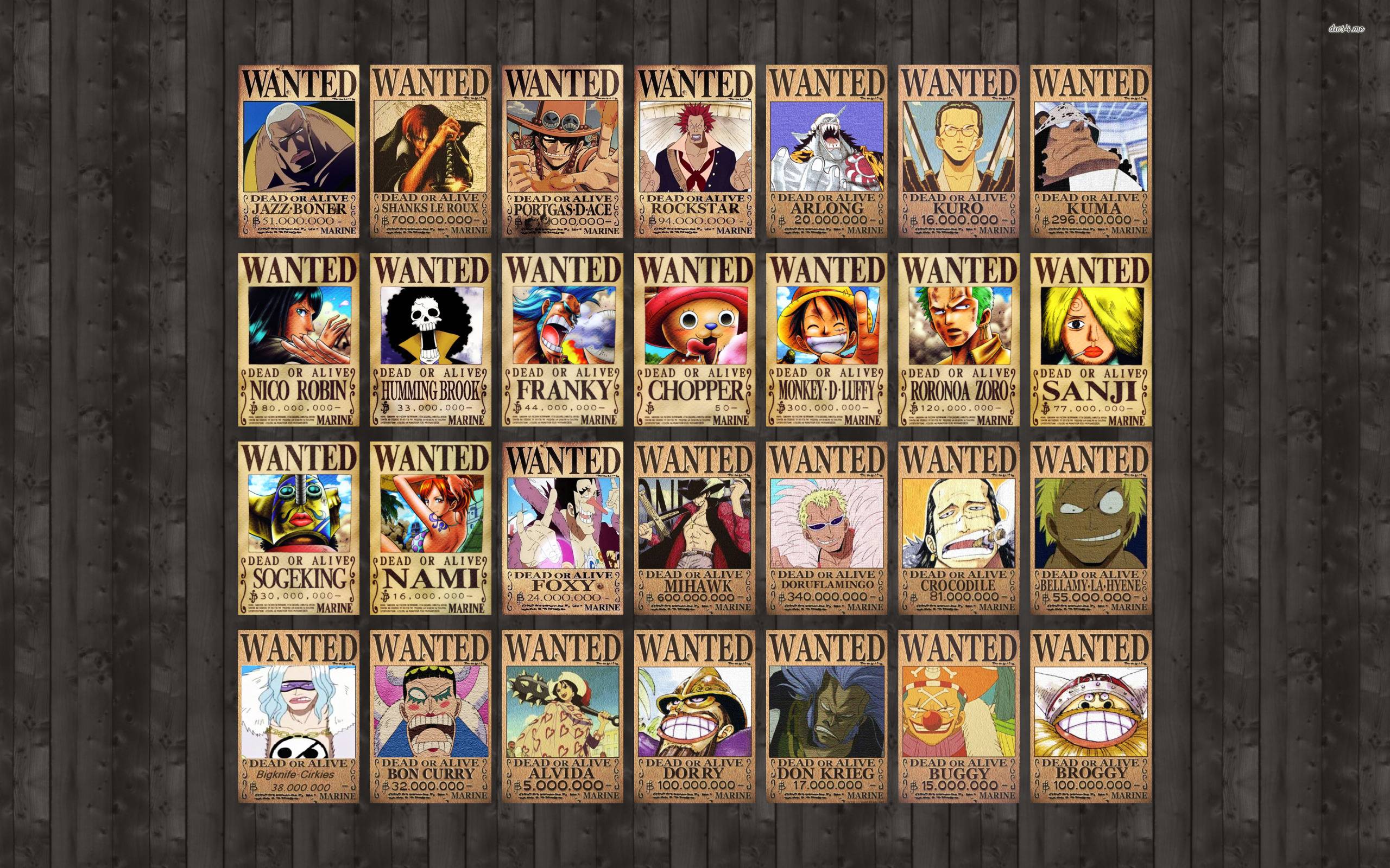 2560x1600 One Piece Wallpaper Wanted