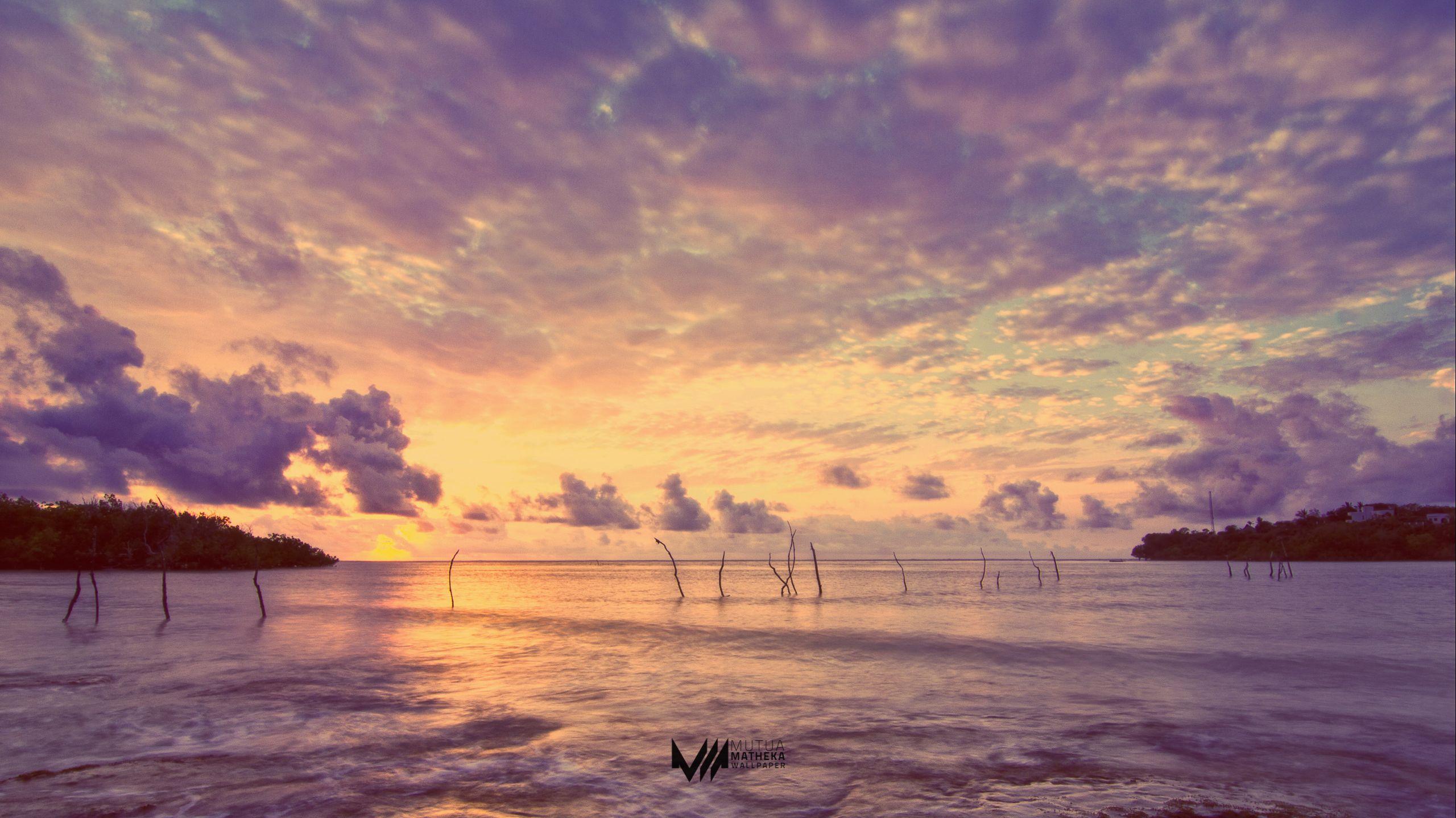 2560x1440 Wallpaper Monday [64]