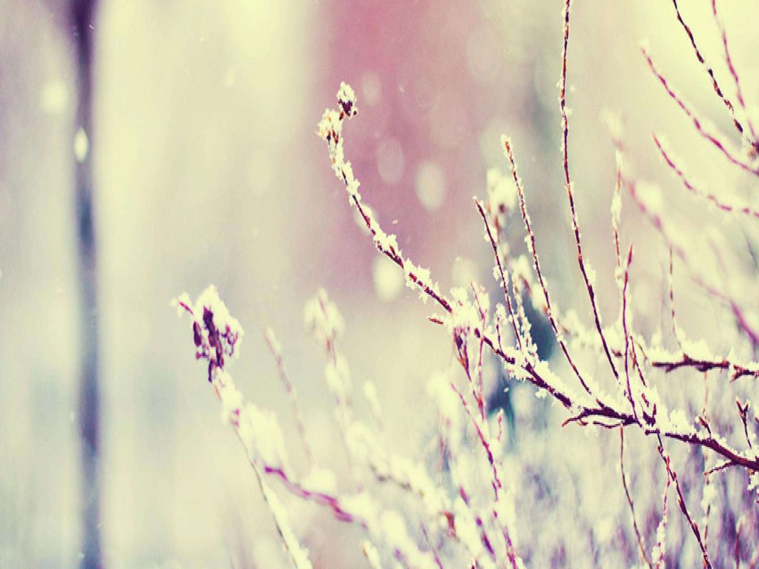 Vintage Winter Photography Wallpapers - Top Free Vintage Winter