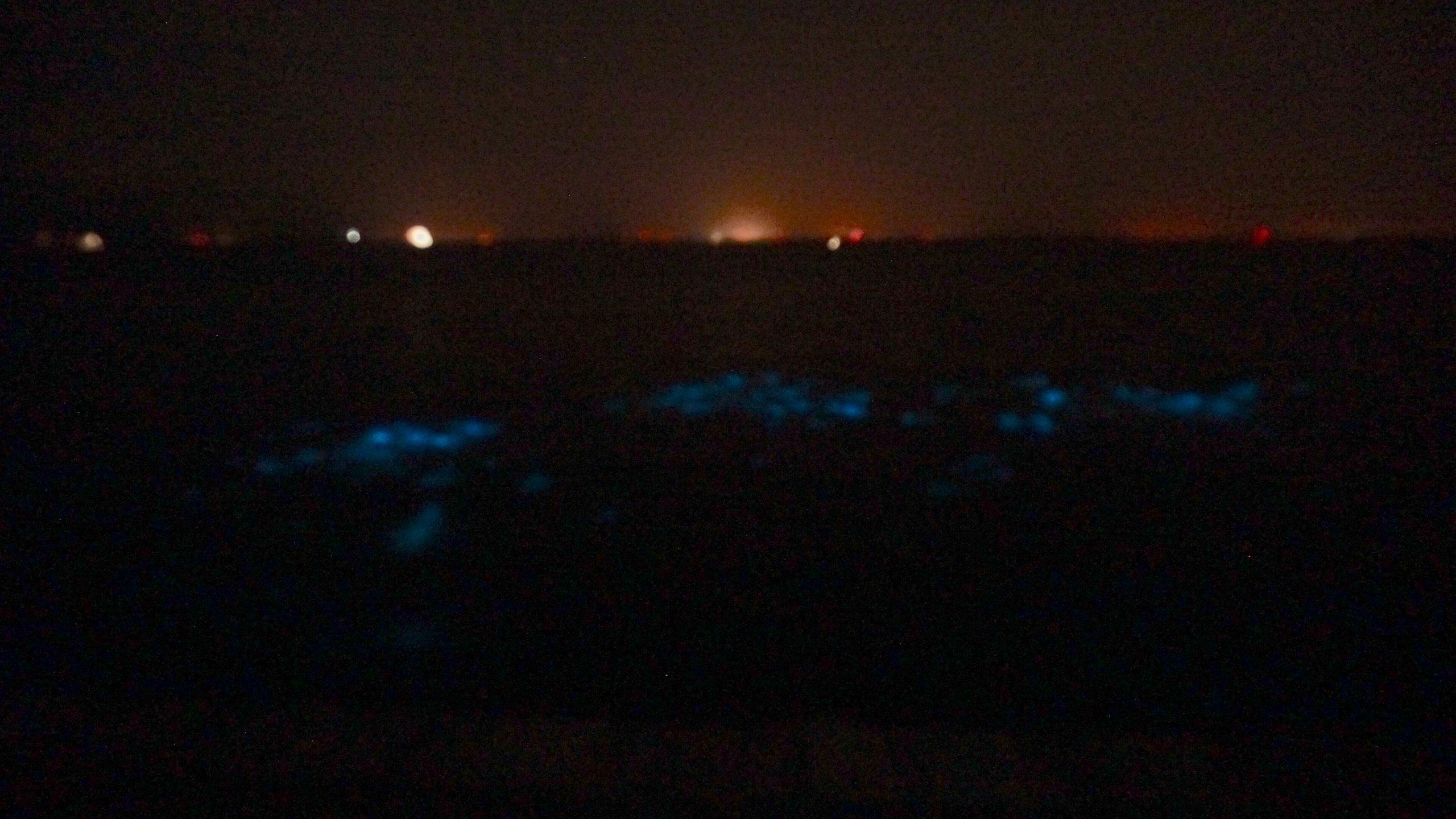 2560x1440 Bioluminescent Paddling. Indian River Lagoon Titusville