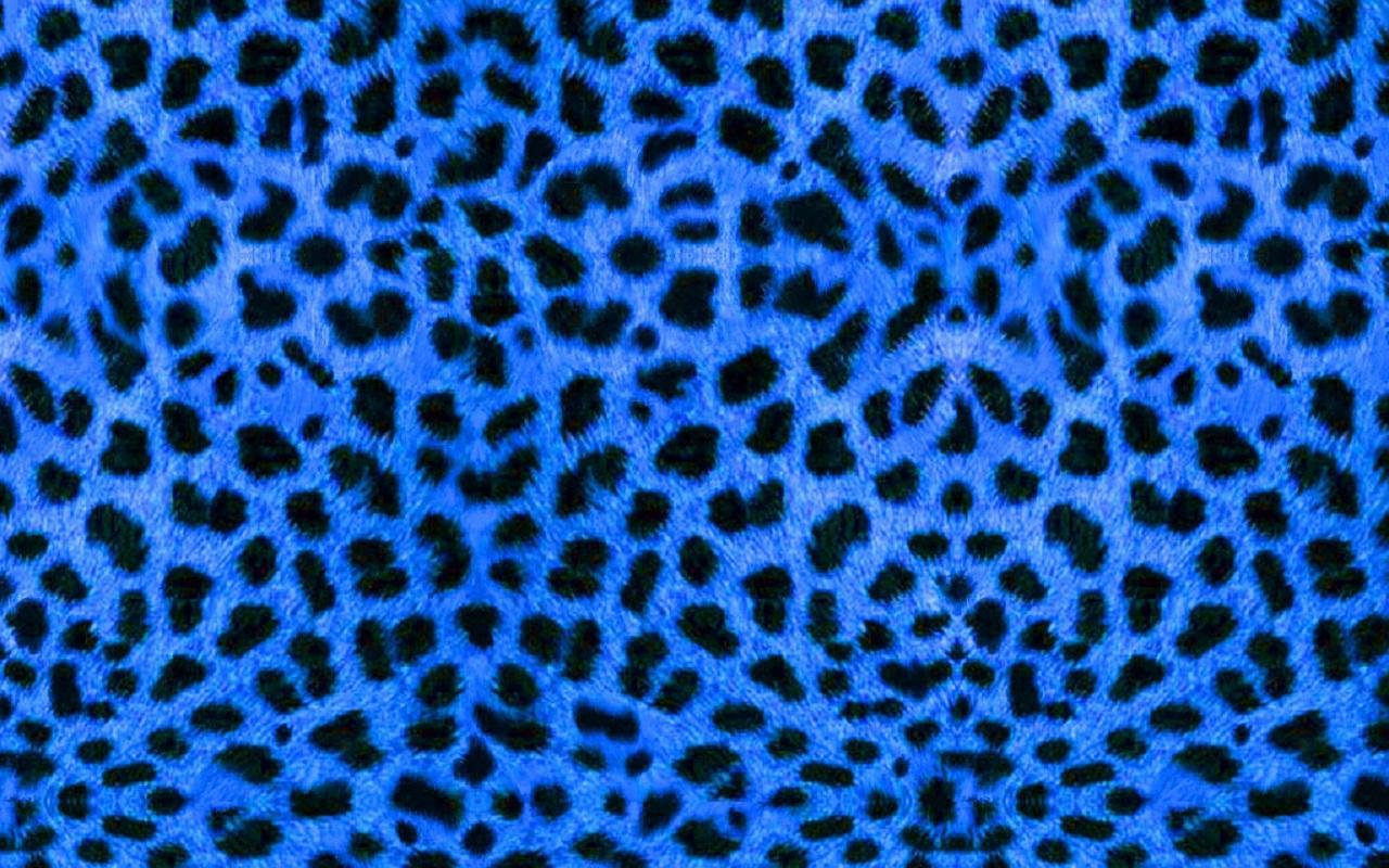 Blue Leopard Print Wallpapers Top Free Blue Leopard Print Backgrounds Wallpaperaccess