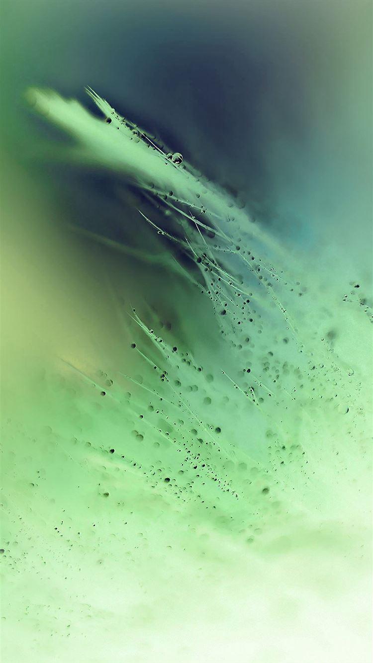 750x1334 Best Wet iPhone 8 HD Wallpaper