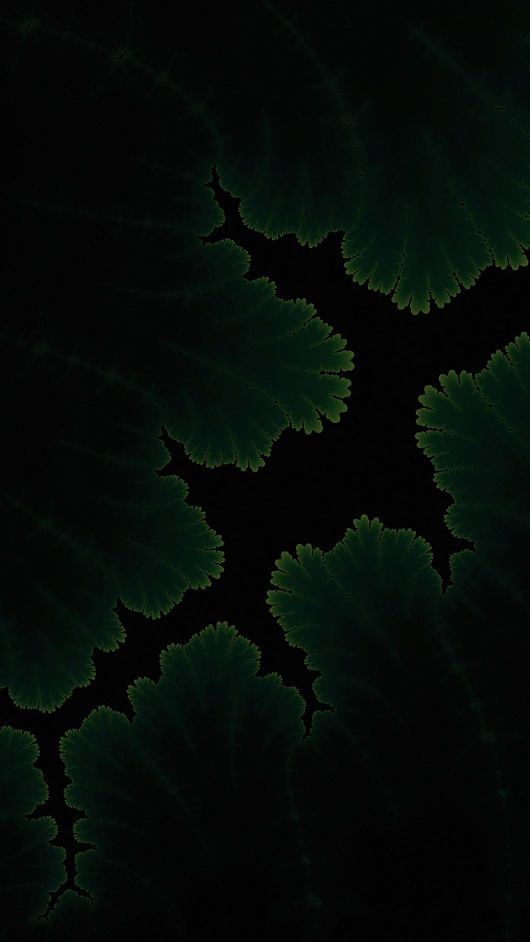 1080x1920 Green Plants Dark Amoled iPhone 6s, 6 Plus, Pixel xl , One Plus 3t, 5 HD 4k Wallpaper, Image, Background, Photo and Picture
