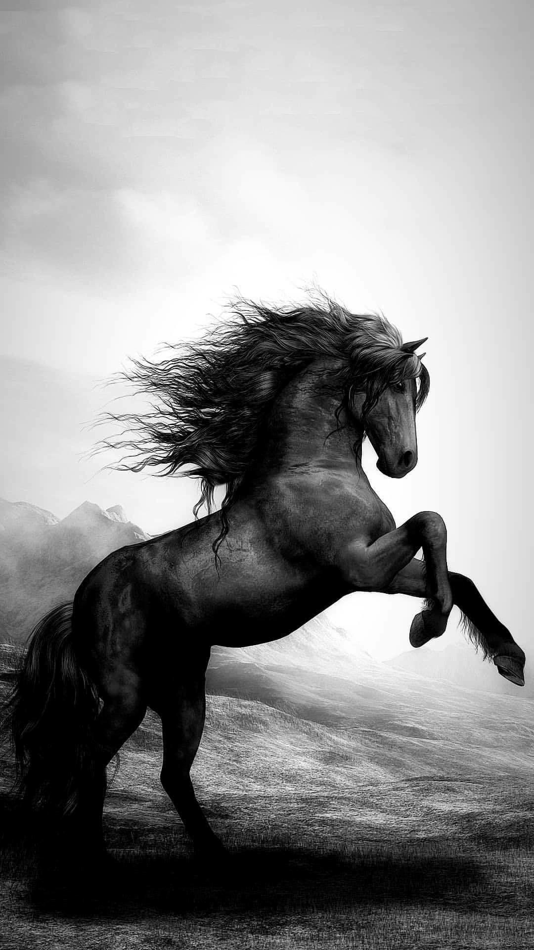 1080x1920 Horse wallpaper. Horses, Beautiful horses, Horse wallpaper
