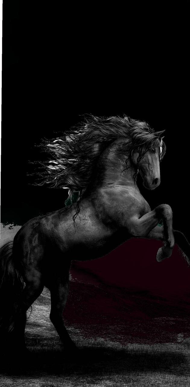630x1280 Horse wallpaper