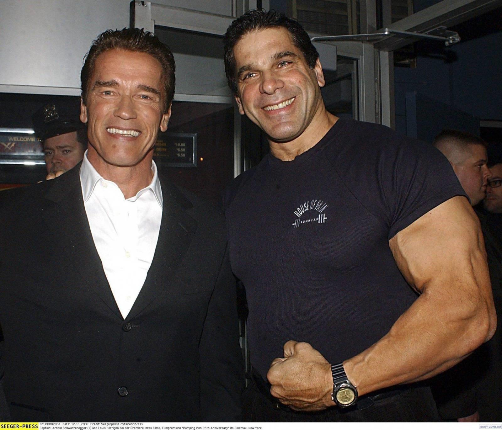 1600x1371 Arnold schwarzenegger, Lou ferrigno, Actors, Bodybuilding Gallery HD Wallpaper