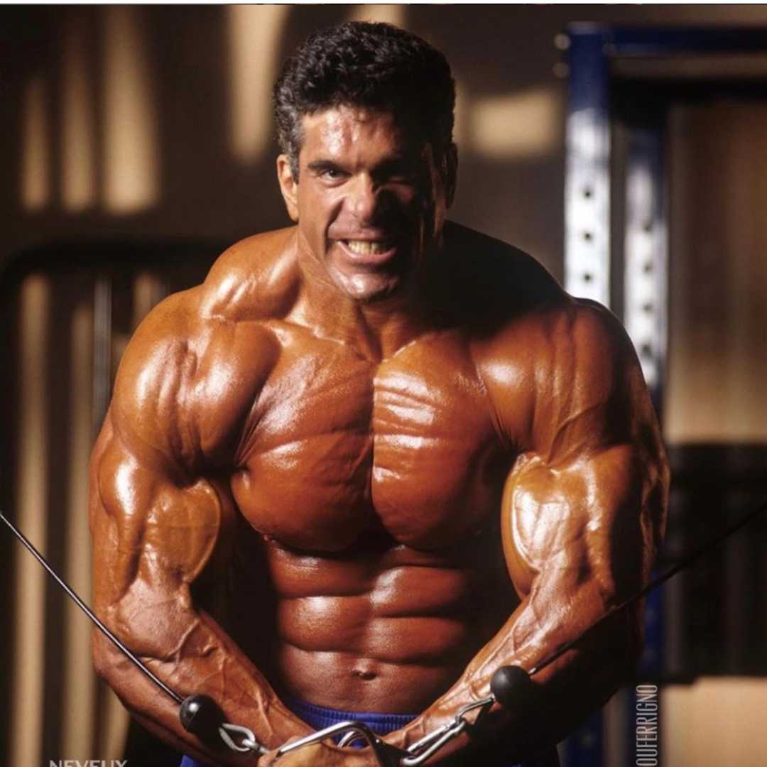 Lou Ferrigno Wallpapers Top Free Lou Ferrigno Backgrounds 