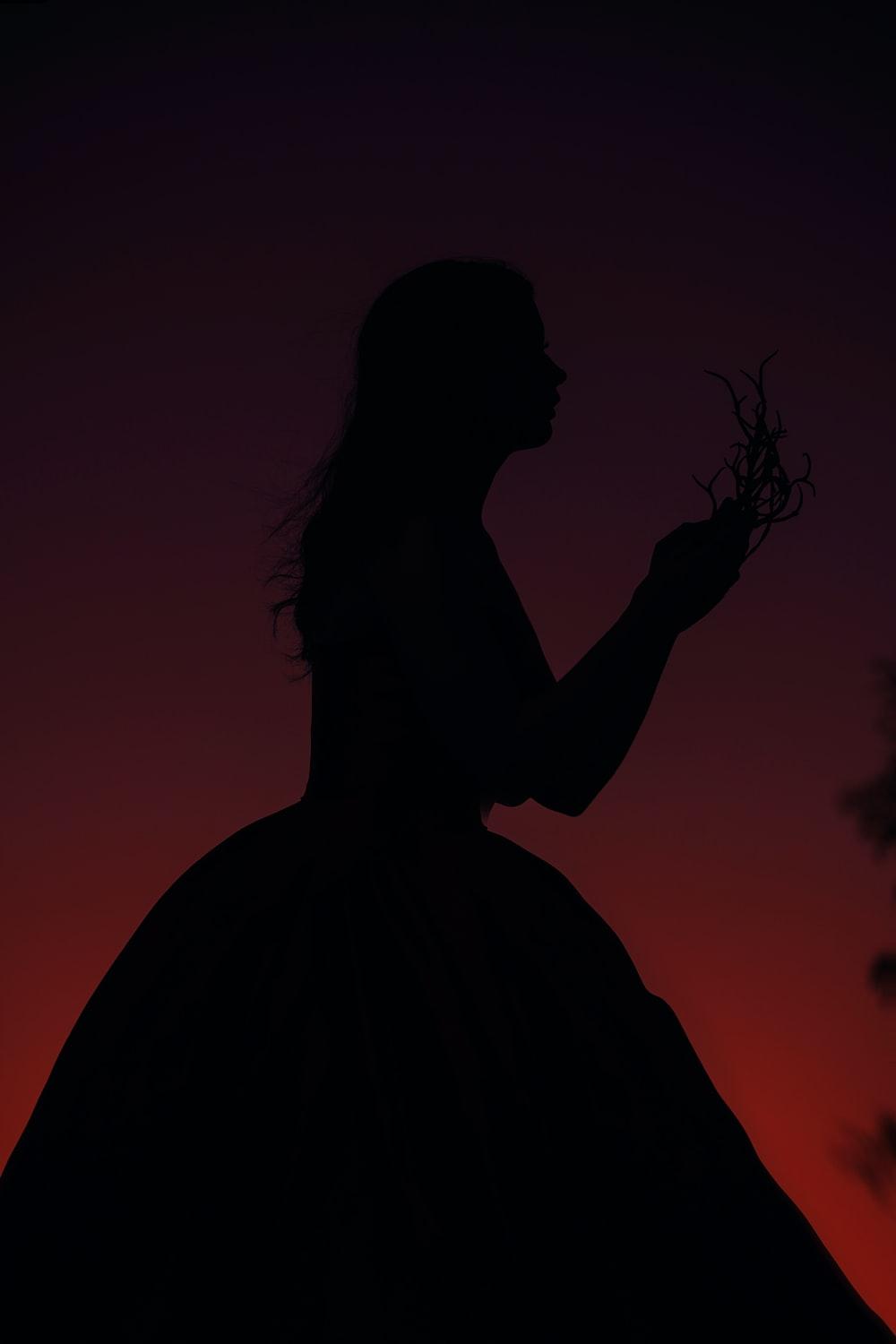 1000x1500 Princess Wallpaper: Free HD Download [HQ]