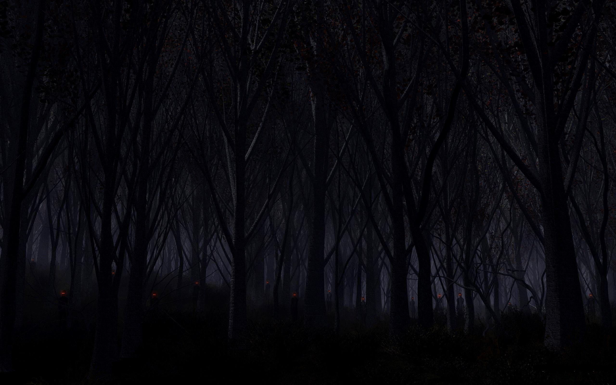 2560x1600 Dark Mist 4K Wallpaper Gallery. Dark wallpaper, Dark forest, Forest wallpaper