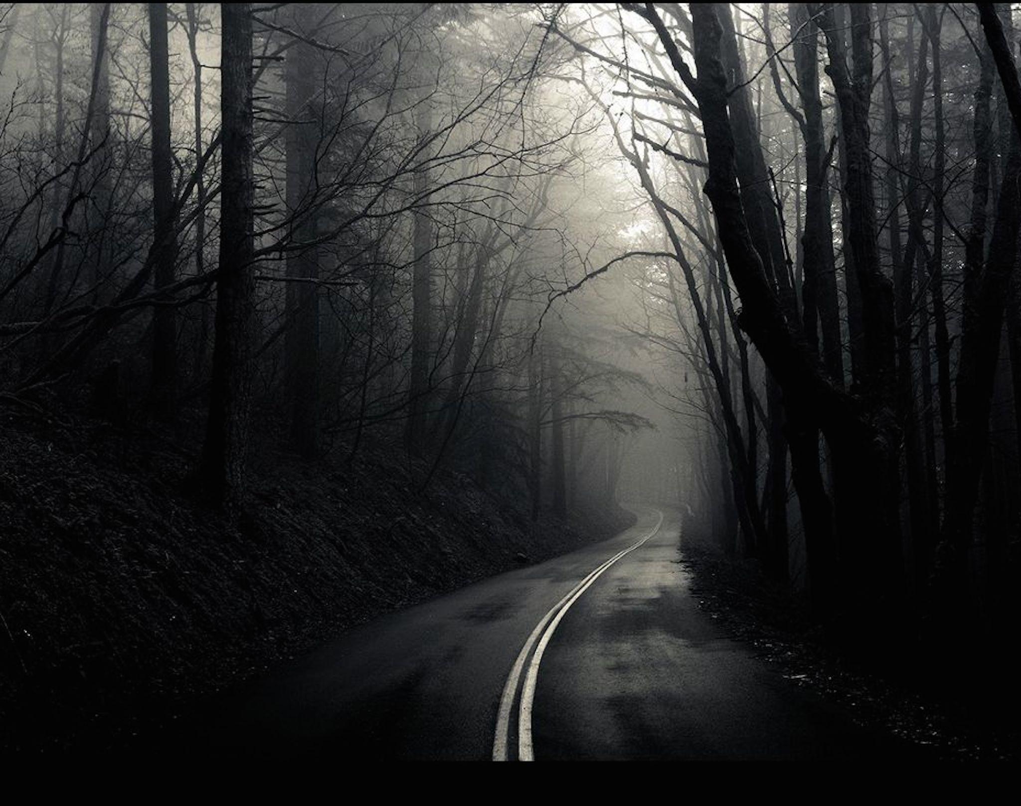 2048x1616 Dark Road With Fog Wallpaper