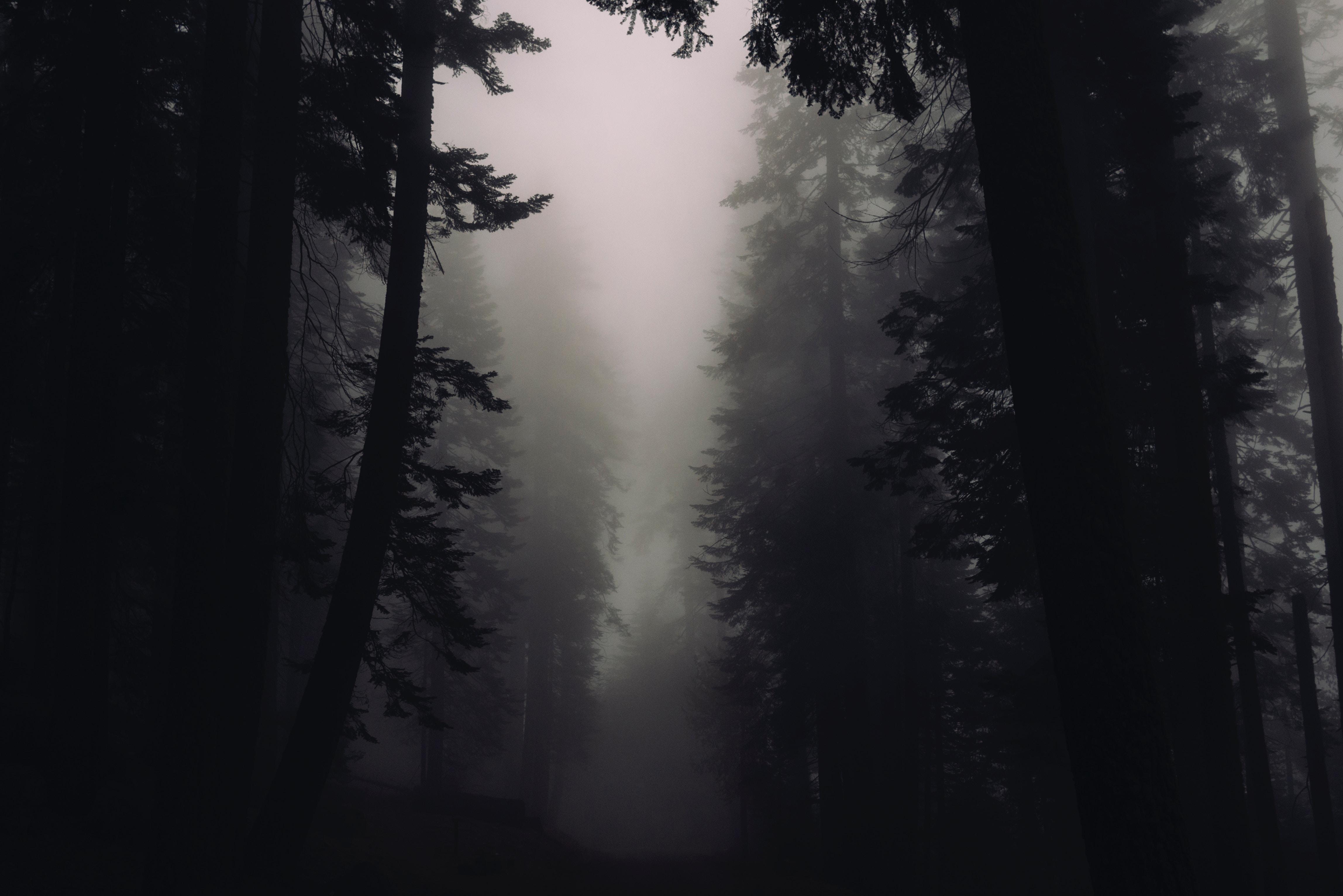 4592x3064 mystic HD wallpaper, background