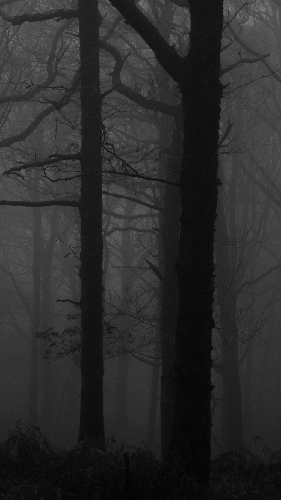 938x1668 Download Wallpaper 938x1668 Forest, Fog, Bw, Trees, Dark Iphone 8 7 6s 6 For Parallax HD Background