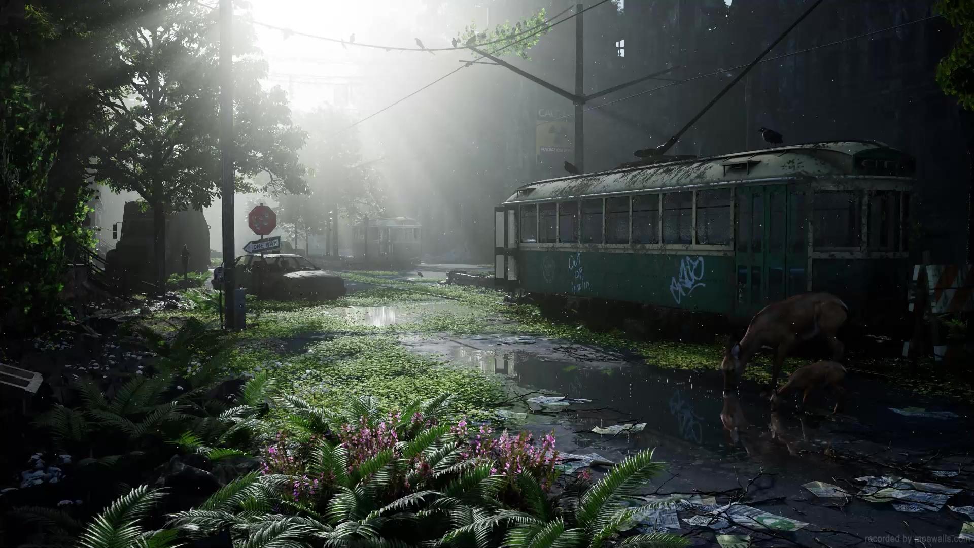 1920x1080 Dystopian City Post Apocalyptic Live Wallpaper
