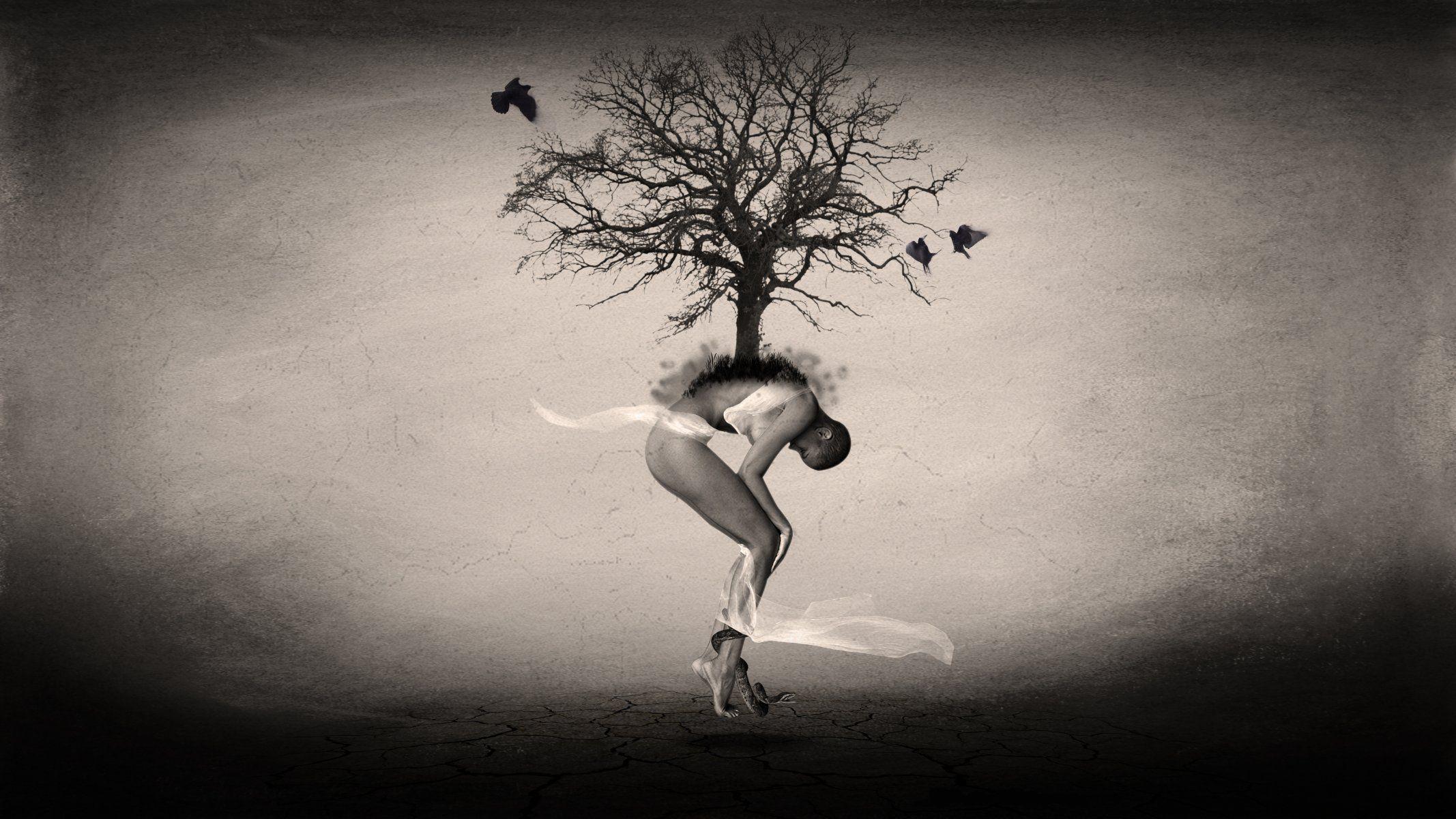 2134x1200 man a woman tree desert birds art HD wallpaper