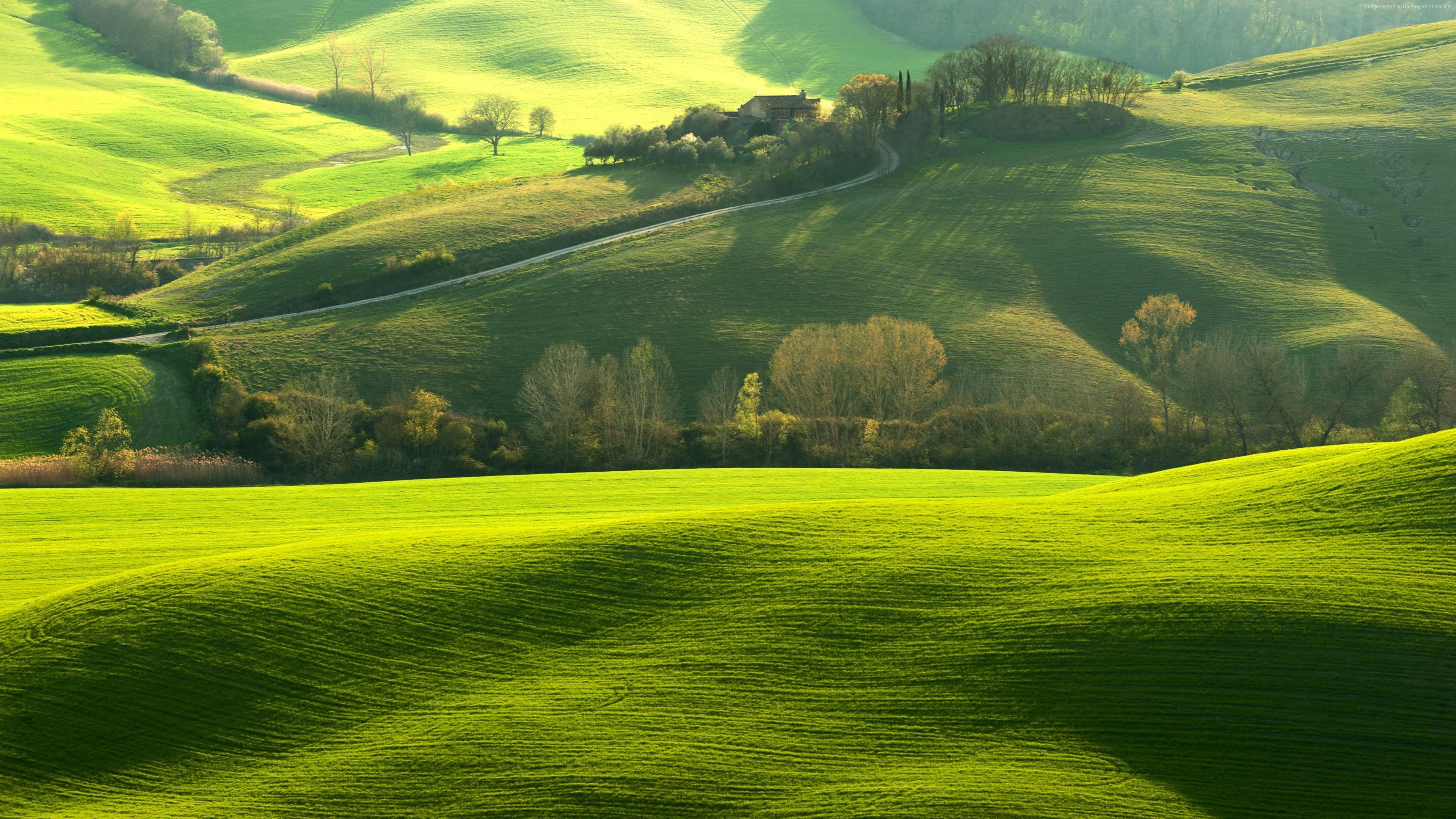 3840x2160 Nature 8k Wallpaper