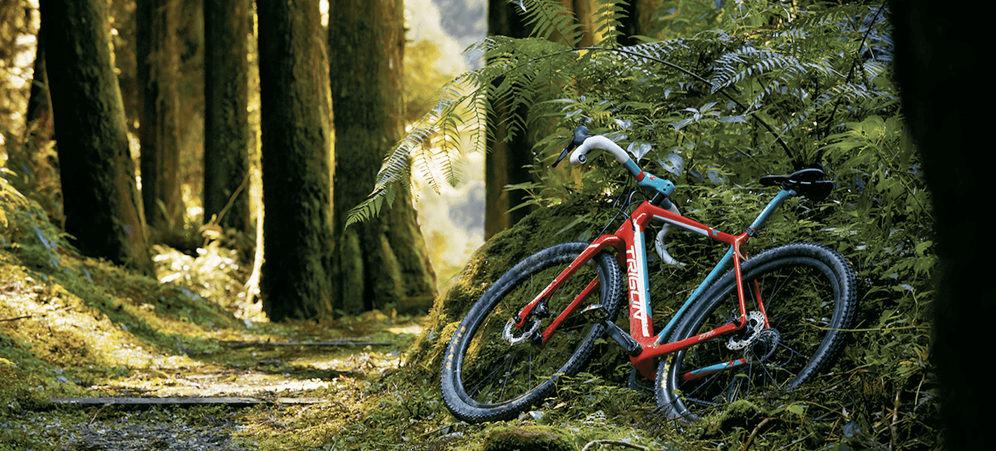 1421x644 What Is a Gravel Bike? The Difference between Gravel Bikes and Road Bikes
