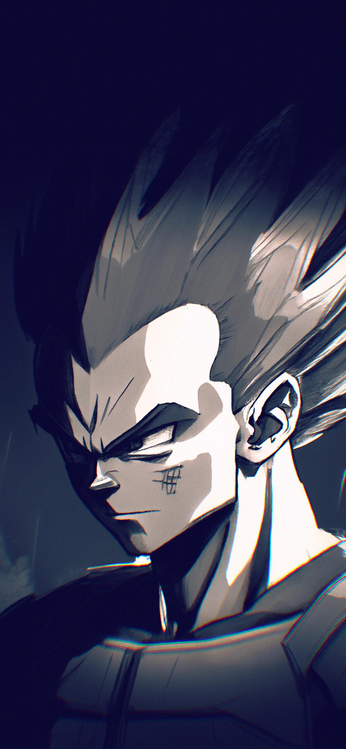 1183x2560 DBZ Vegeta Black and White Wallpaper Ball Wallpaper