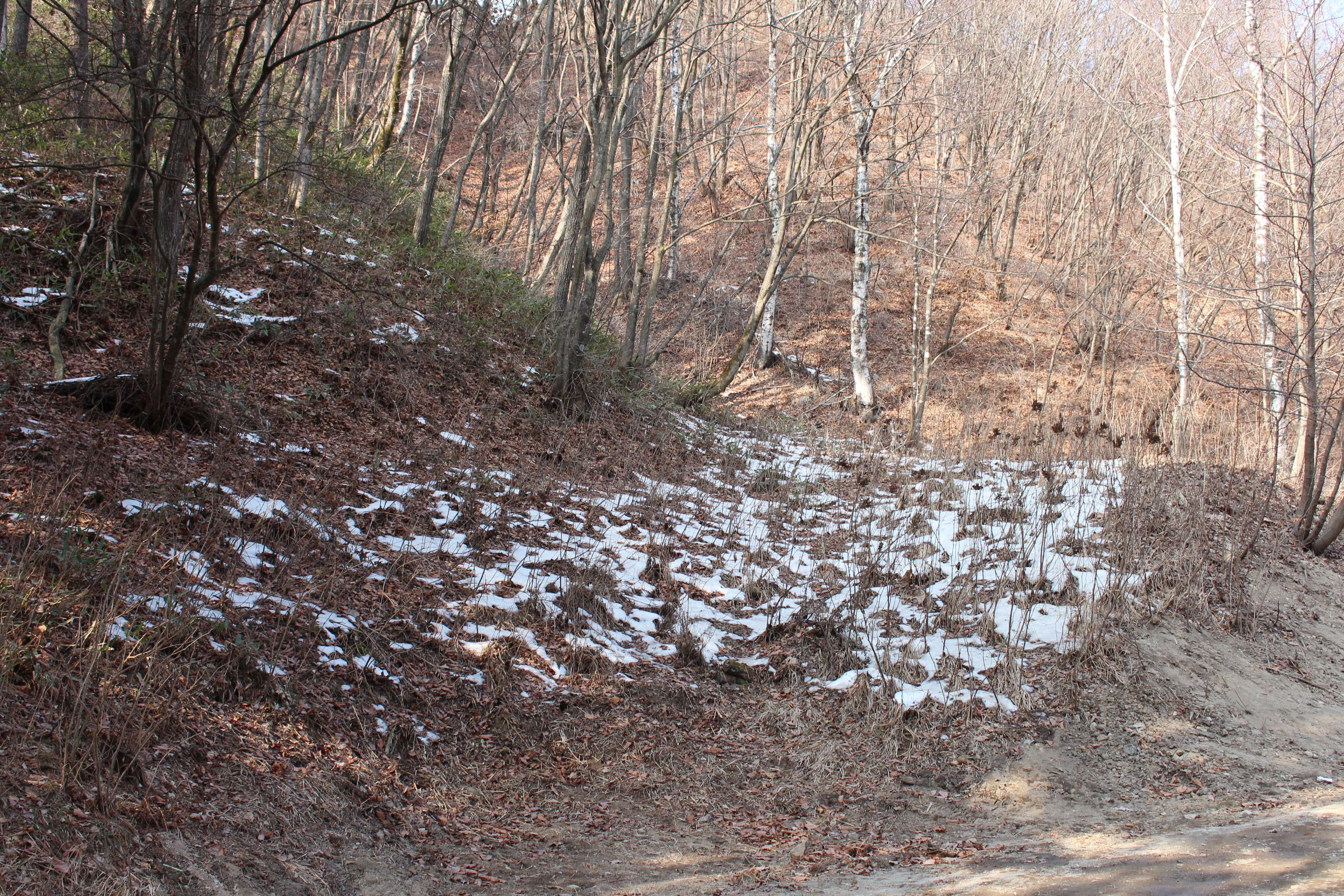 3840x2560 korea, snow, winter 4k wallpaper and background
