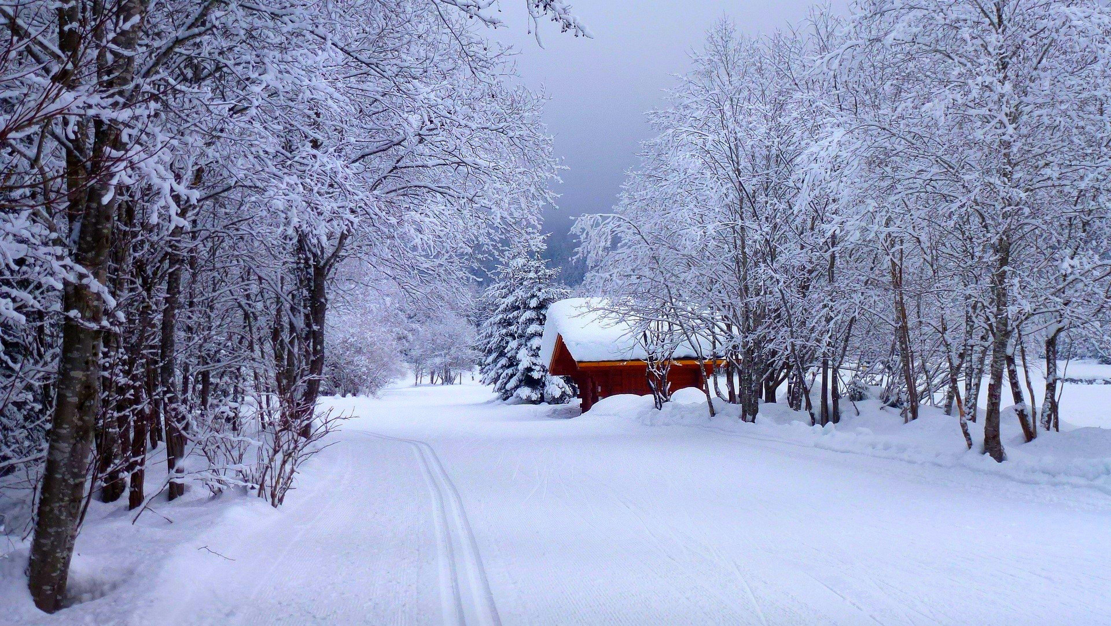 3840x2164 winter time, path, nature, cabin, woods, forest, snow, winter house