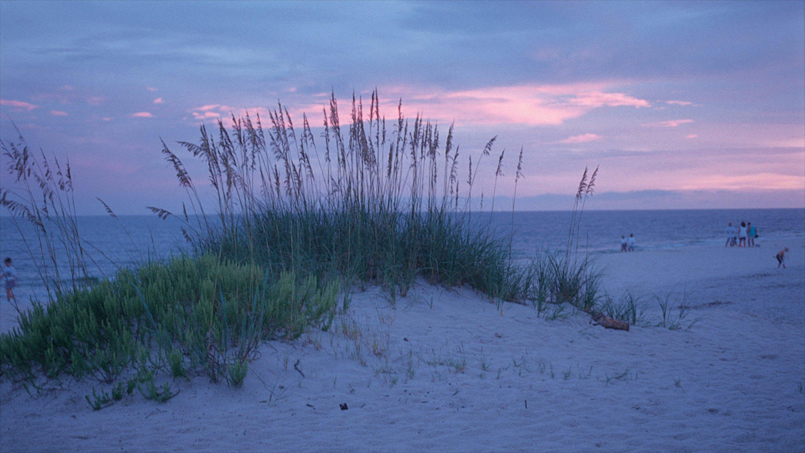 2560x1440 Visit Gulf Shores: 2023 Travel Guide for Gulf Shores, Alabama
