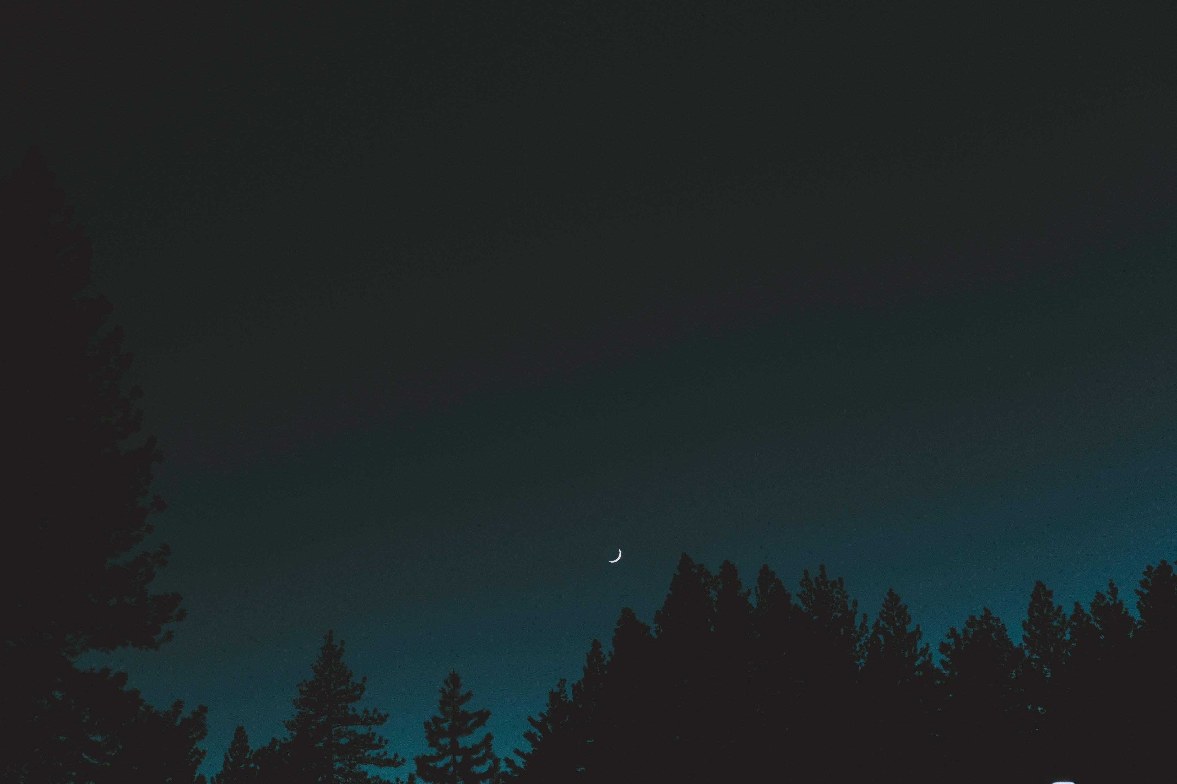 3840x2560 Wallpaper / a crescent moon hangs in the night sky over silhouettes of pine trees, selenophile 4k wallpaper free download