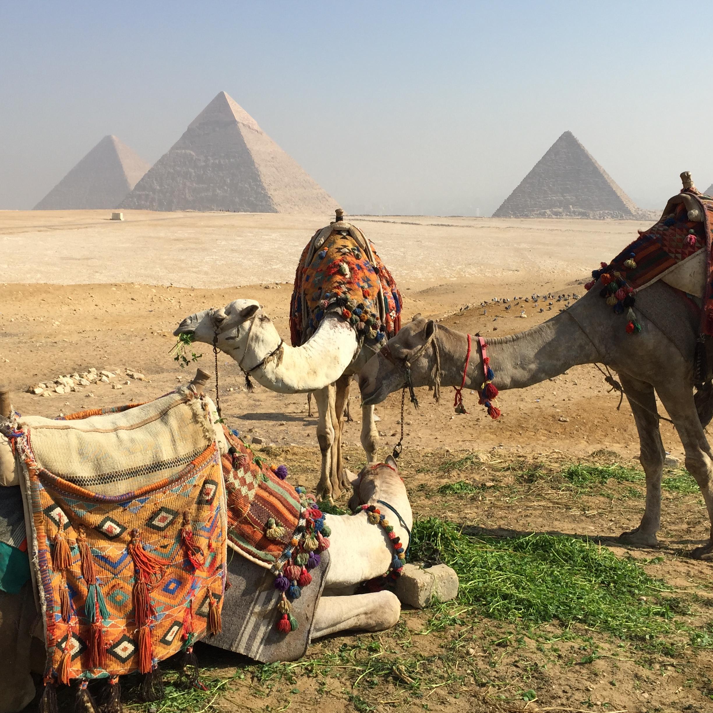 2448x2448 Dream Image of Egypt Easier to See than Ever