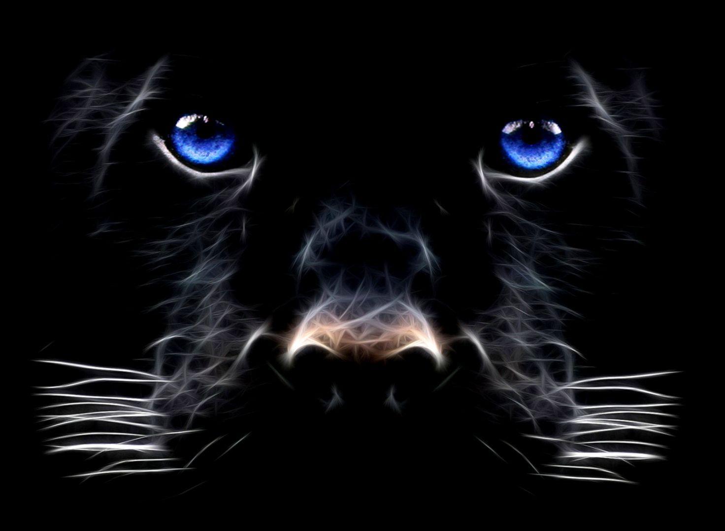 Black Panther Animal Dell Wallpapers - Top Free Black Panther Animal ...