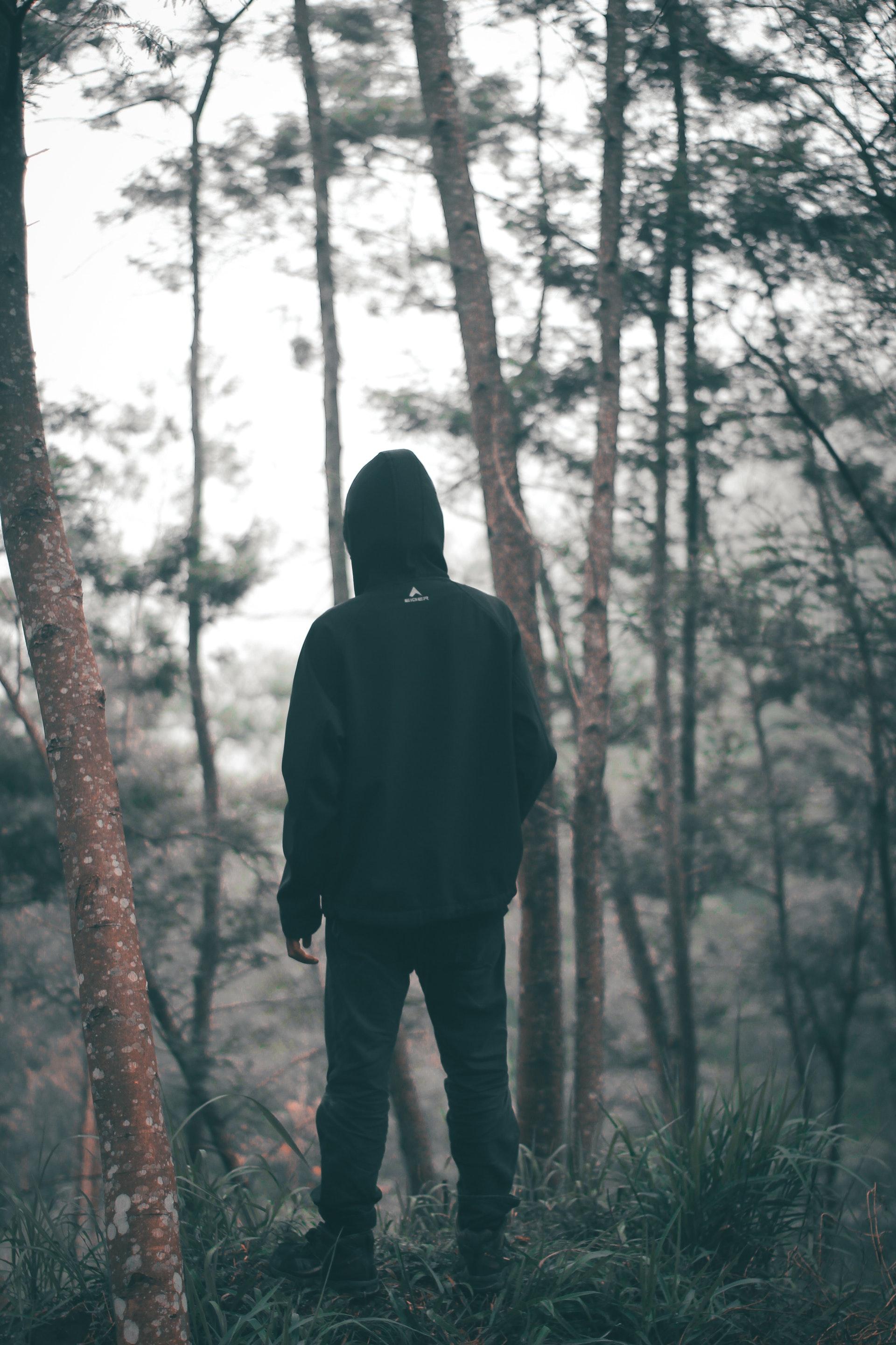 1920x2880 Black Hoodie Alone in Forest Mobile Phone full HD wallpaper