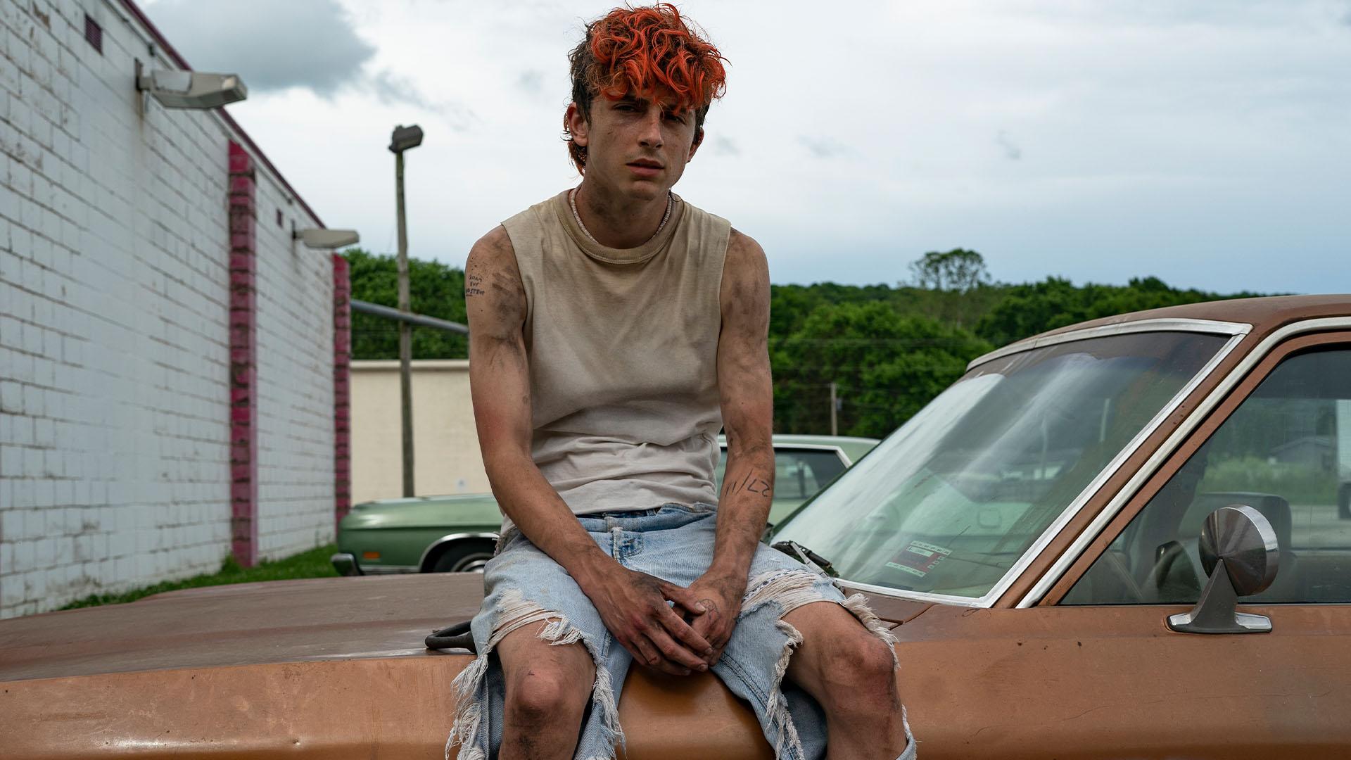 1920x1080 Bones and All movie review: Timothée Chalamet is catastrophically alluring, Taylor Russell captivating