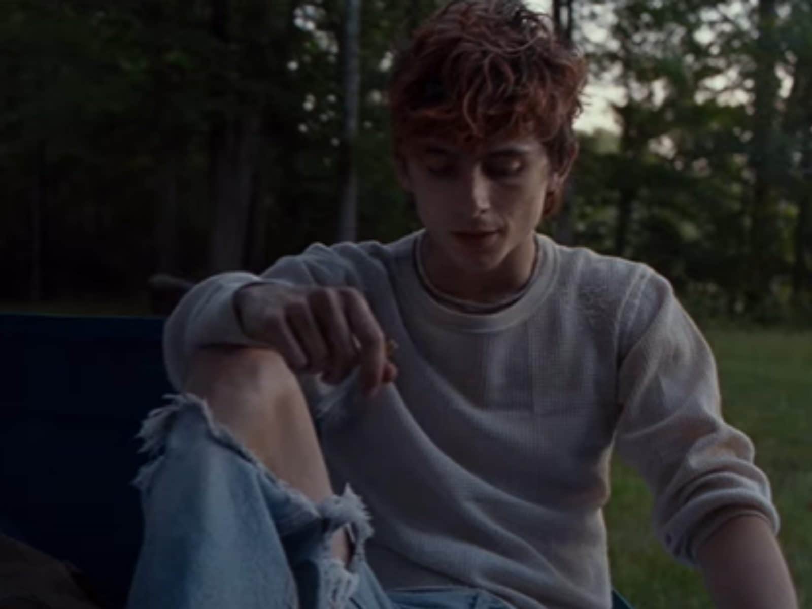 1600x1200 Venice Film Festival: Timothee Chalamet's Bones and All Plots Cannibalism and Receives Standing Ovation