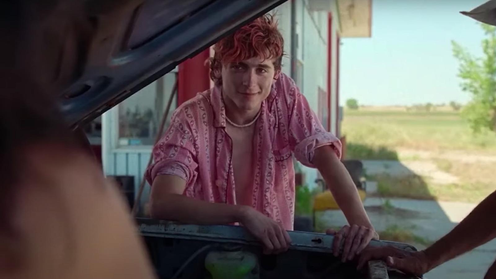 1600x900 Luca Guadagnino Only Wanted Timothée Chalamet For His Bones And All Character