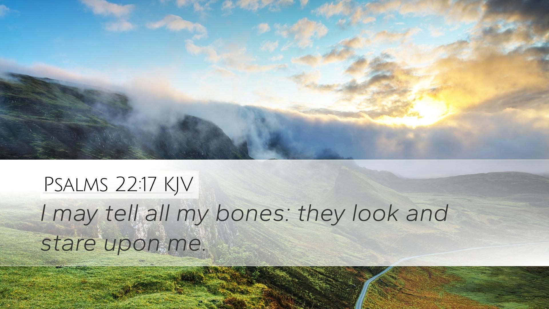 1920x1080 Psalms 22:17 KJV Desktop Wallpaper may tell all my bones: they look and stare upon