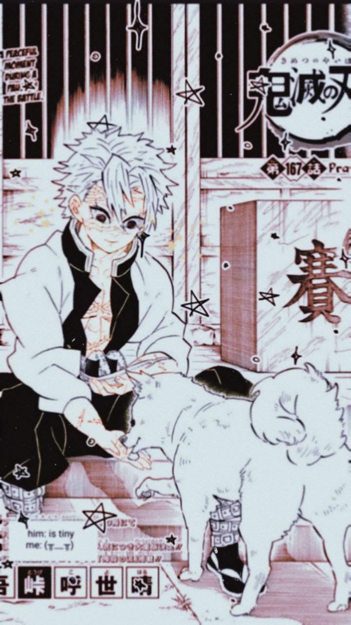 720x1280 Sanemi Shinazugawa Edit Wallpaper