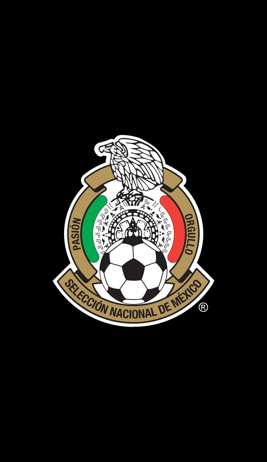 1100x1900 Mexico National Soccer Team Tickets Mexico Soccer Games