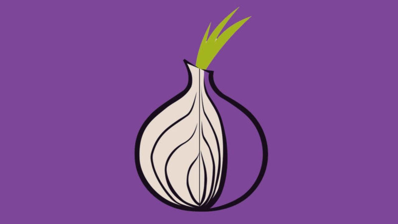 Tor Browser Wallpapers - Top Free Tor Browser Backgrounds - WallpaperAccess