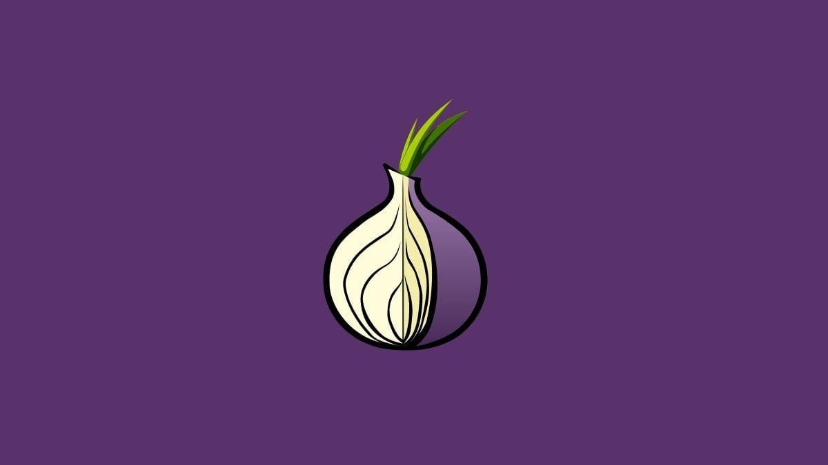 Tor Browser Wallpapers - Top Free Tor Browser Backgrounds - WallpaperAccess