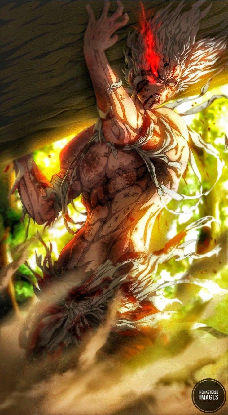 736x1338 Garou (One Punch Man). One punch man anime, Saitama one punch, Saitama one punch man