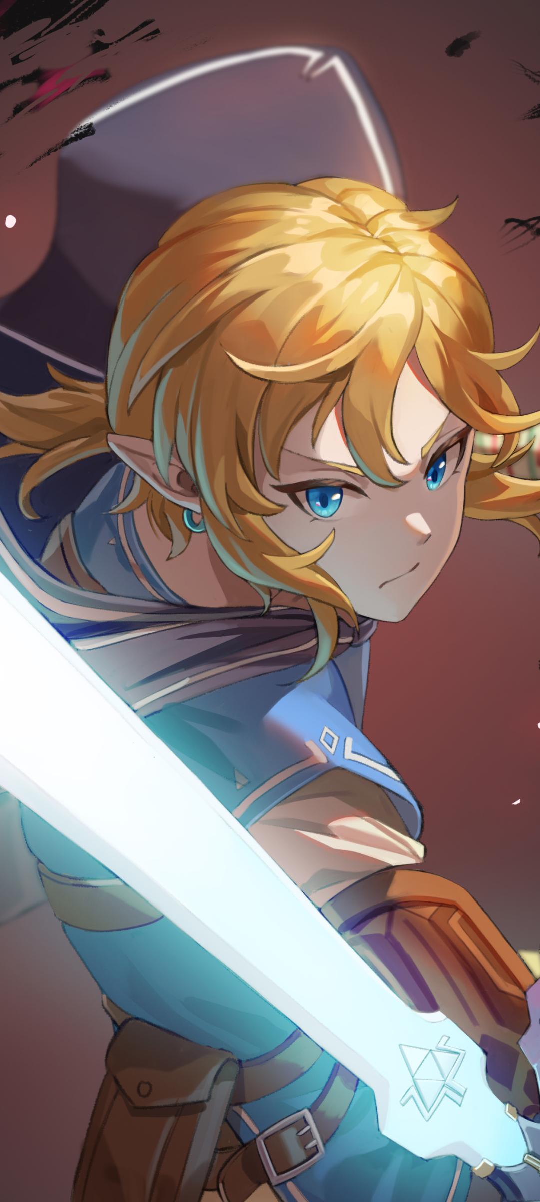 Link Botw Wallpapers - Top Free Link Botw Backgrounds - WallpaperAccess