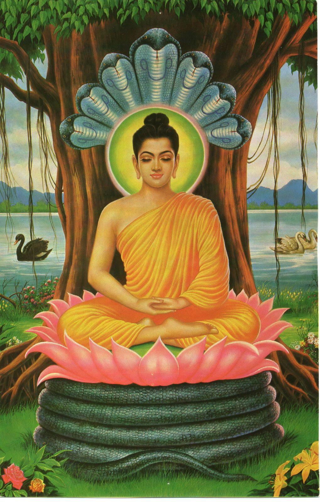 1019x1600 wallpaper 7: Gautama Buddha Wallpaper