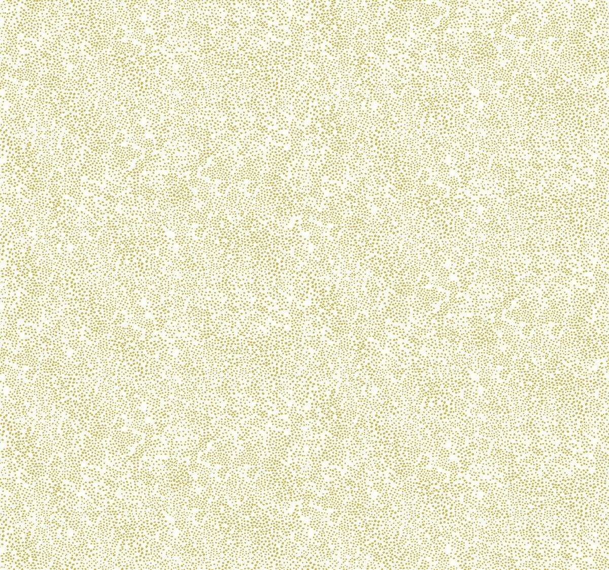 1200x1122 Rifle Paper Co. Champagne Dots Wallpaper & White