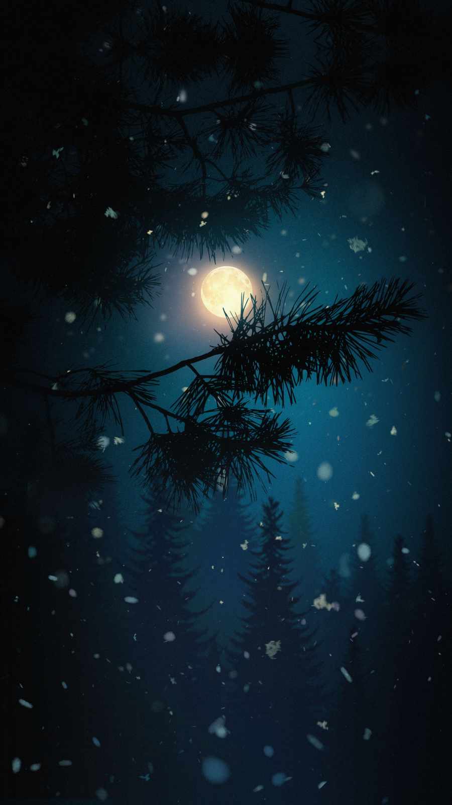 900x1600 Winter Night IPhone Wallpaper Wallpaper : iPhone Wallpaper