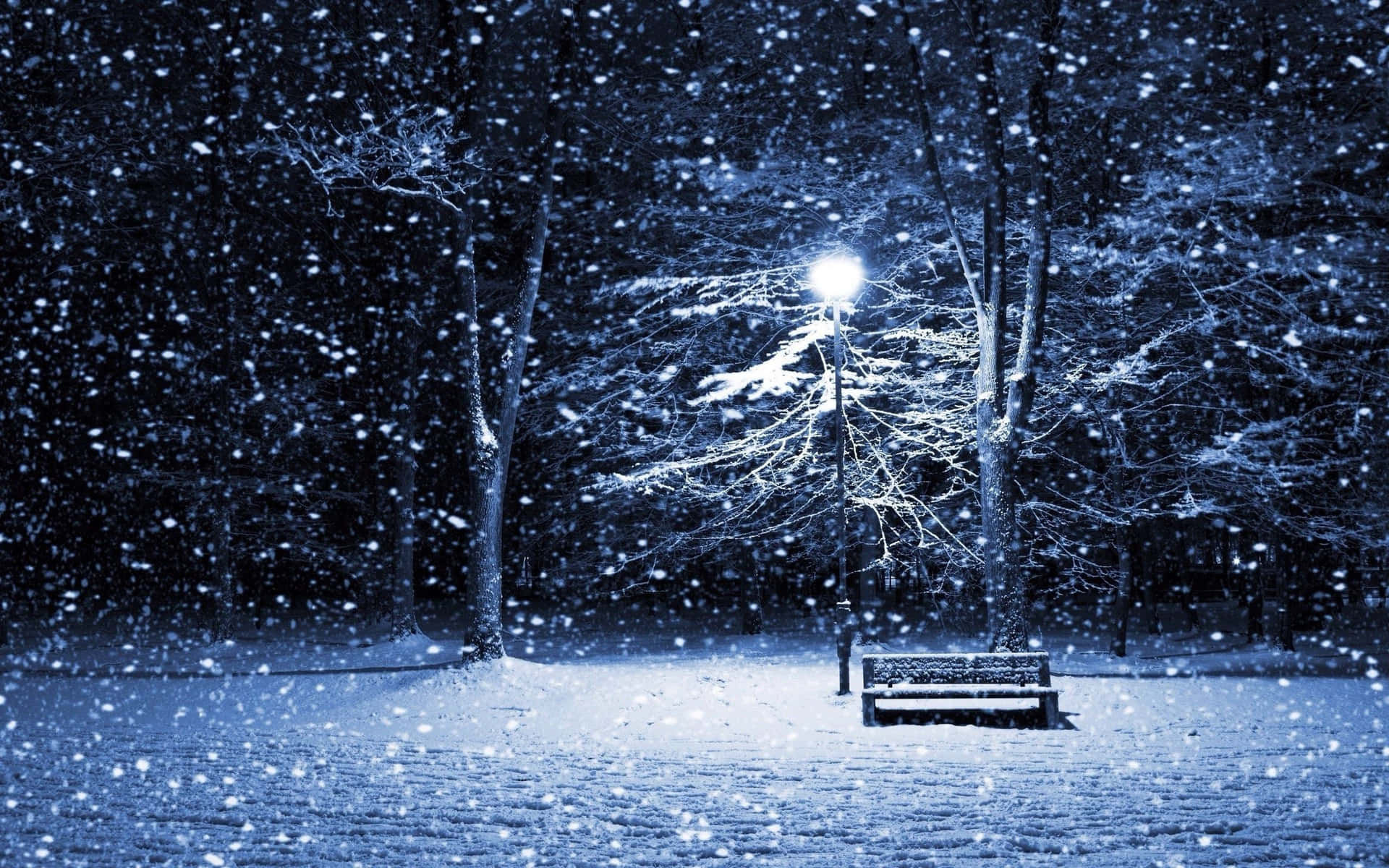 1920x1200 Download A beautiful view of a winter night from the comfort of one's own home. Wallpaper