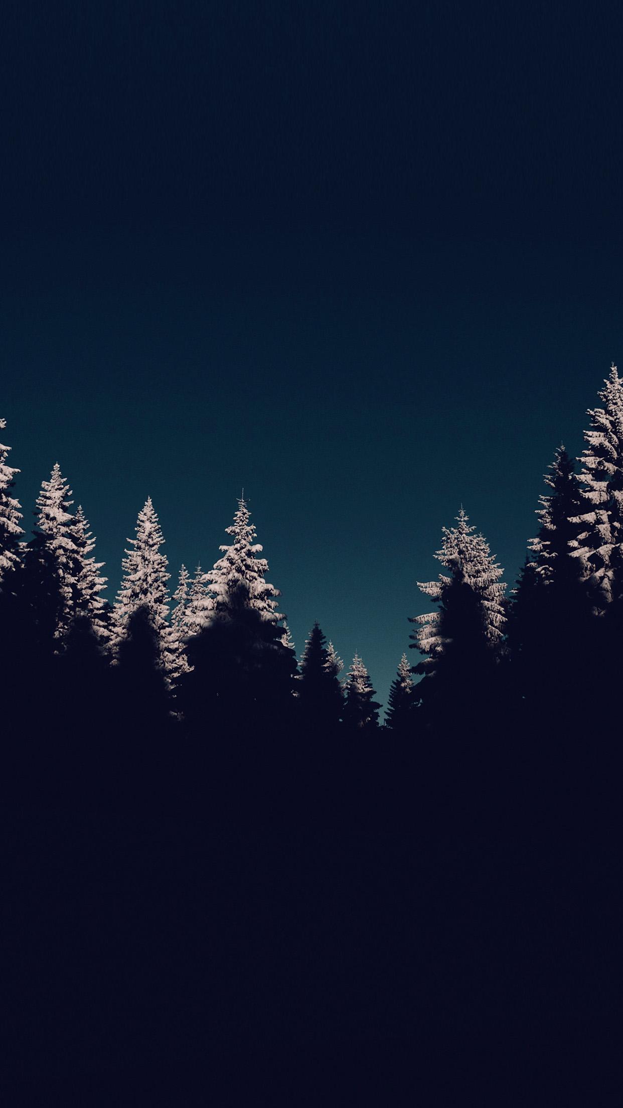 1242x2208 iPhone X wallpaper. wood winter night mountain blue dark
